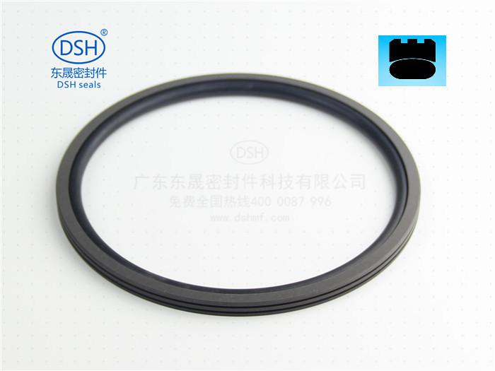 臺彎通信機械旋轉(zhuǎn)軸密封方案-DNS孔用旋轉(zhuǎn)格萊圈